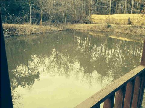 131 Summit Ridge Dr, Brandon, MS 39042 photo 16