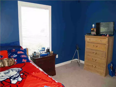 603 Mitchell Cv, Brandon, MS 39047 photo 17
