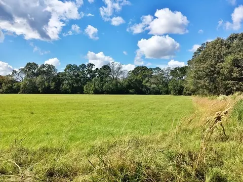 300 W W Mt, Pleasant Road, LA 70791