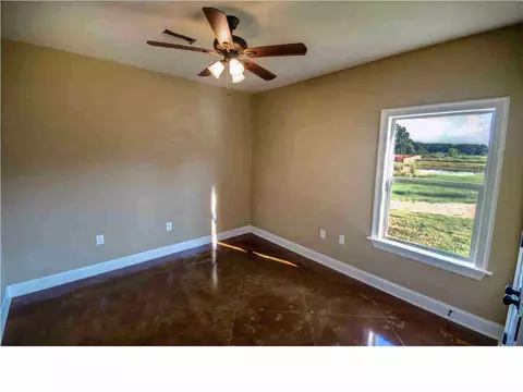 209 Bream Pond Ln, Brandon, MS 39047 photo 28