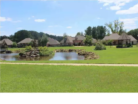 202 Grande Cv, Brandon, MS 39042 photo 39