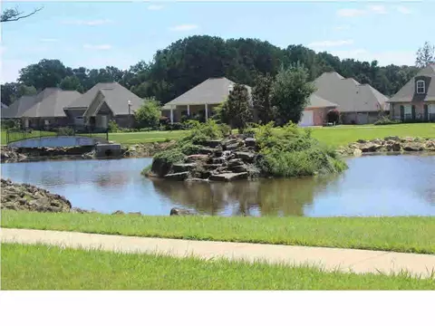 202 Grande Cv, Brandon, MS 39042 photo 40