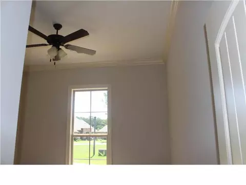 202 Grande Cv, Brandon, MS 39042 photo 24