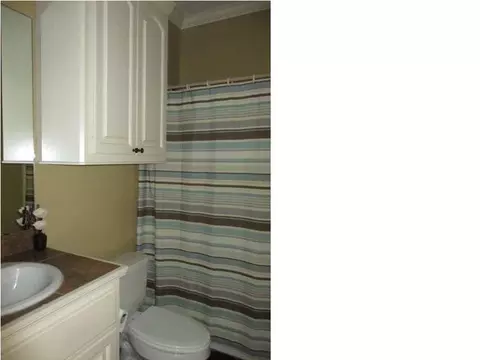 719 Tortoise Rdg, Brandon, MS 39047 photo 30