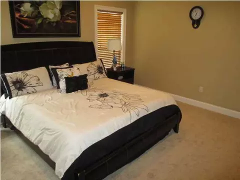 719 Tortoise Rdg, Brandon, MS 39047 photo 17