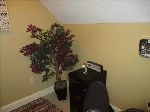 719 Tortoise Rdg, Brandon, MS 39047 photo 28