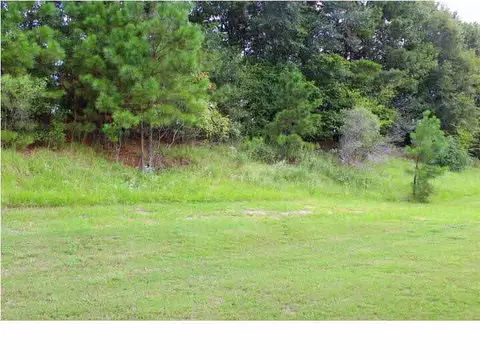 145 Ashley Park Dr, Byram, MS 39272 photo 45