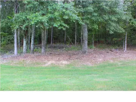 140 Ashley Park Dr, Byram, MS 39272 photo 46