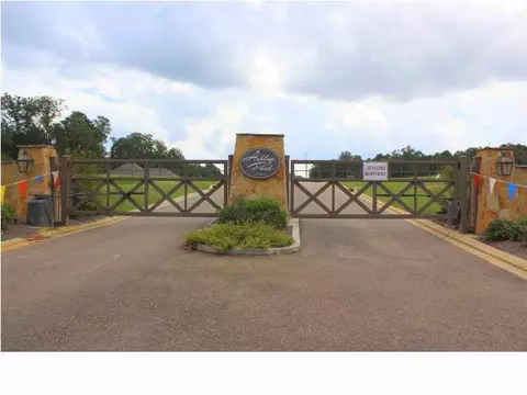 140 Ashley Park Dr, Byram, MS 39272 photo 50