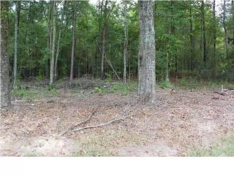 140 Ashley Park Dr, Byram, MS 39272 photo 48