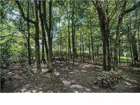 14 Sylwood Pl, Jackson, MS 39209 photo 29