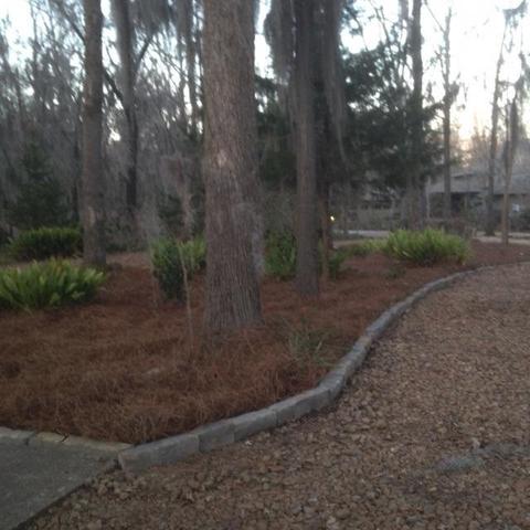 123 Moss Ln, Madison, MS 39110 photo 34
