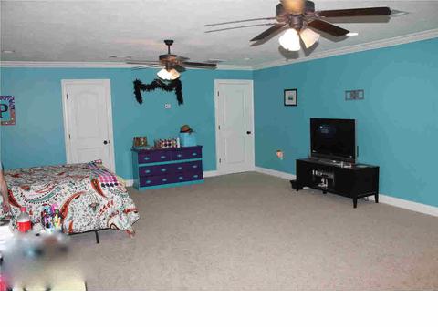 550 Springhill Xing, Brandon, MS 39047 photo 16