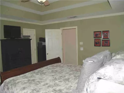 211 Farmers Row, Madison, MS 39110 photo 17