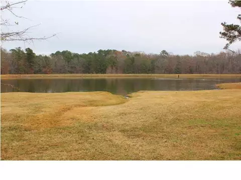 149 Brookstone Way, Madison, MS 39110 photo 45