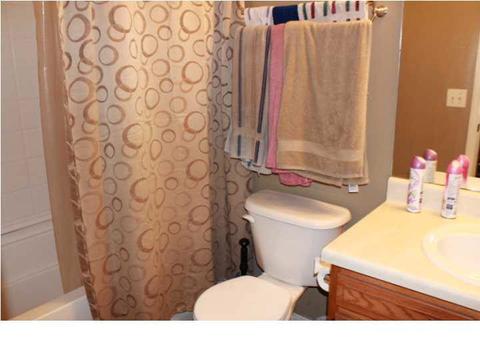 4245 Gunar Dr, Byram, MS 39272 photo 20