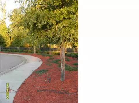 220 Provonce Park, Brandon, MS 39042 photo 17