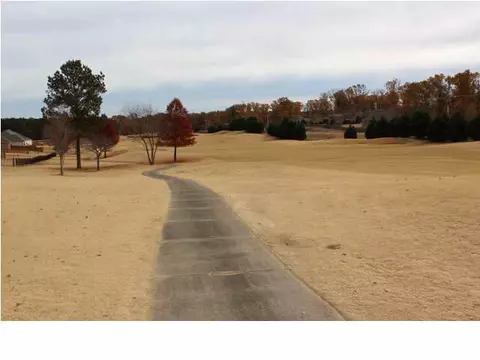 136 Burne Run, Madison, MS 39110 photo 49