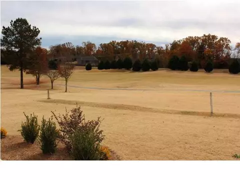 136 Burne Run, Madison, MS 39110 photo 48