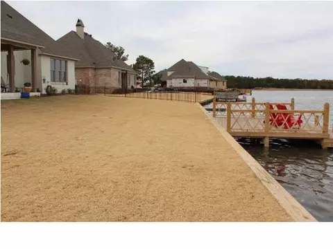 110 Camden Shrs, Madison, MS 39110 photo 49