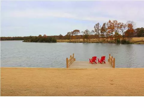 110 Camden Shrs, Madison, MS 39110 photo 45