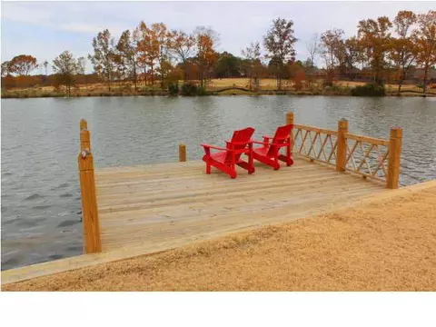 110 Camden Shrs, Madison, MS 39110 photo 43
