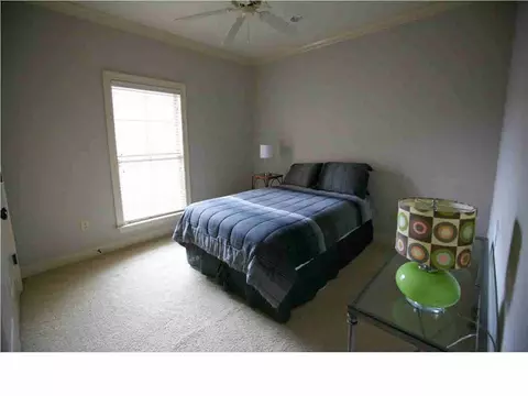 228 Provonce Park, Brandon, MS 39042 photo 33
