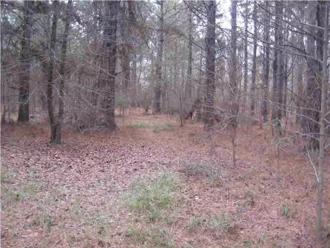293 Glenfield Rd, Canton, MS 39046 photo 16
