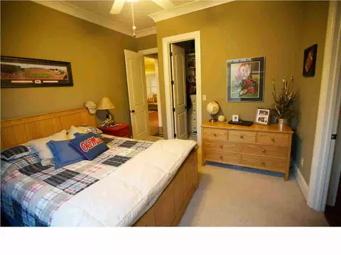 228 Legacy Dr, Brandon, MS 39042 photo 29