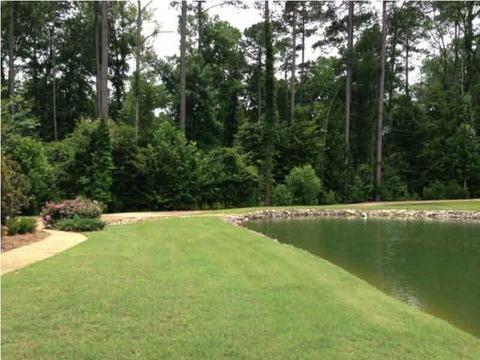 140 Spring Branch Dr, Brandon, MS 39047 photo 6