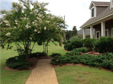 140 Spring Branch Dr, Brandon, MS 39047 photo 2