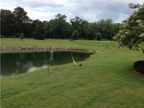 140 Spring Branch Dr, Brandon, MS 39047 photo 5