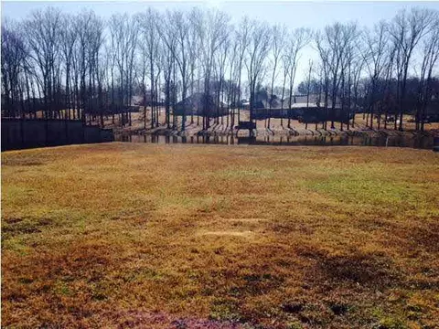 119 Mason Way, Madison, MS 39110 photo 6
