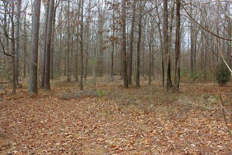 785 Westerly Dr, Brandon, MS 39042 photo 46