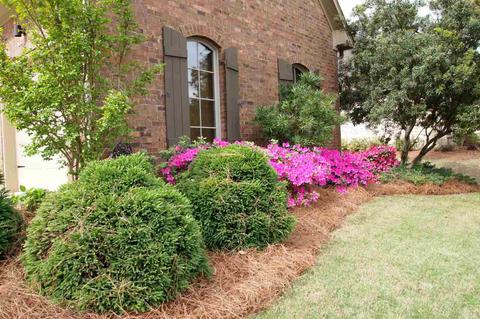 117 Shoreline Dr, Madison, MS 39110 photo 3