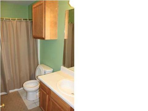 355 Audubon Cir, Brandon, MS 39047 photo 8