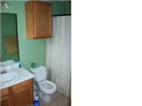 355 Audubon Cir, Brandon, MS 39047 photo 9