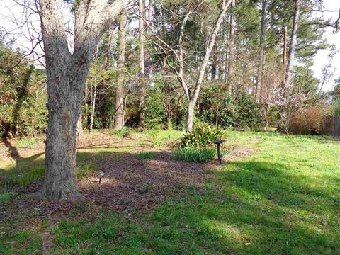 1510 Gay St, Jackson, MS 39211 photo 39