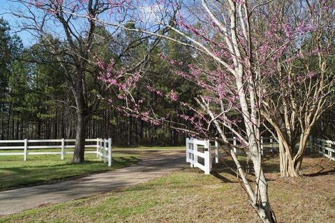 1245 Springwater Ranch Rd, Brandon, MS 39042 photo 49