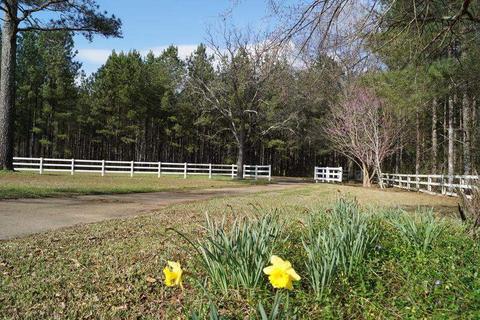 1245 Springwater Ranch Rd, Brandon, MS 39042 photo 48