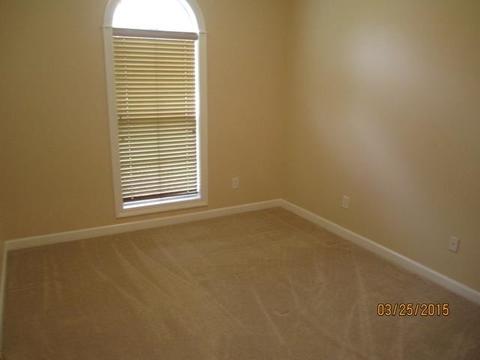 222 Blackbridge Dr, Brandon, MS 39042 photo 19