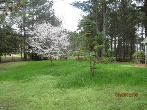 222 Blackbridge Dr, Brandon, MS 39042 photo 37