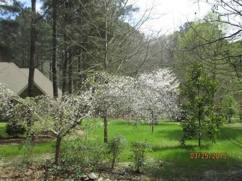 222 Blackbridge Dr, Brandon, MS 39042 photo 3