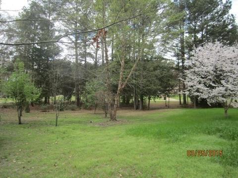 222 Blackbridge Dr, Brandon, MS 39042 photo 38