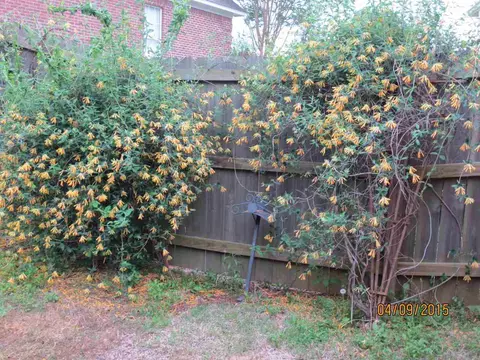 459 W W Pl, Madison, MS 39110 photo 36