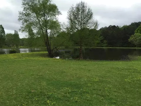 102 Crestview Dr, Brandon, MS 39047 photo 5