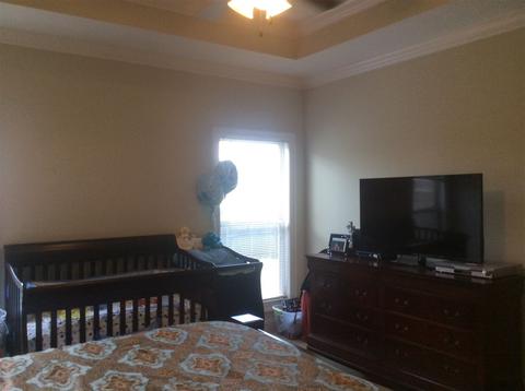 171 Amethyst Dr, Brandon, MS 39047 photo 17