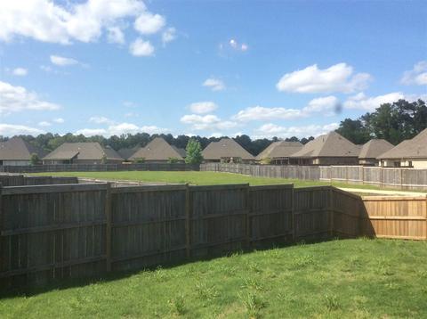 171 Amethyst Dr, Brandon, MS 39047 photo 30