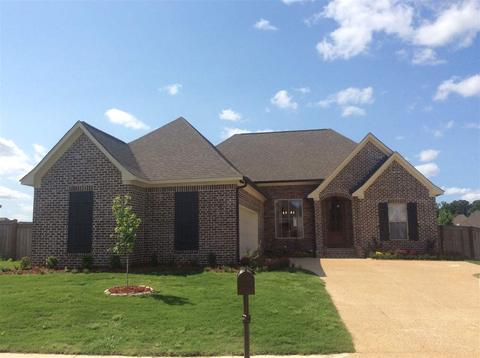 171 Amethyst Dr, Brandon, MS 39047 photo 1