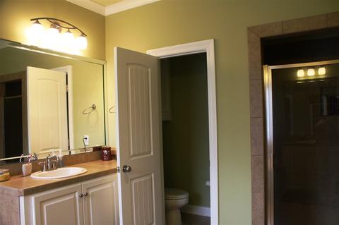 540 Springhill Xing, Brandon, MS 39047 photo 25